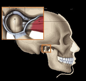 TMJ-Treatment-1-cosmetic-dentist-stephen-wolpo-dds-smile-sensations--implants-invisalign-gum-disease-stamford-ct